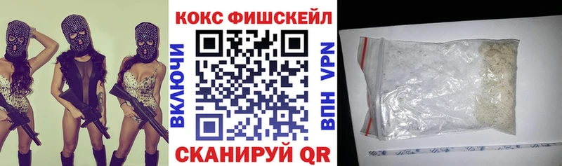 где купить наркоту  Вольск  Cocaine Fish Scale 