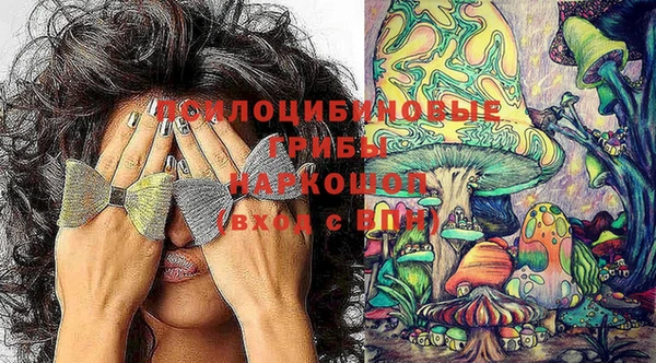 каннабис Анжеро-Судженск