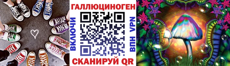 Галлюциногенные грибы Psilocybe Вольск