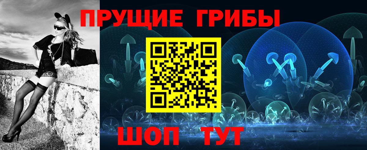 Псилоцибиновые грибы Cubensis  Вольск 